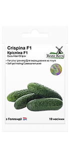 6e026e5504df8c5716094025d71960f6_1682937133 Огірок Кріспіна F1 - Зображення 1