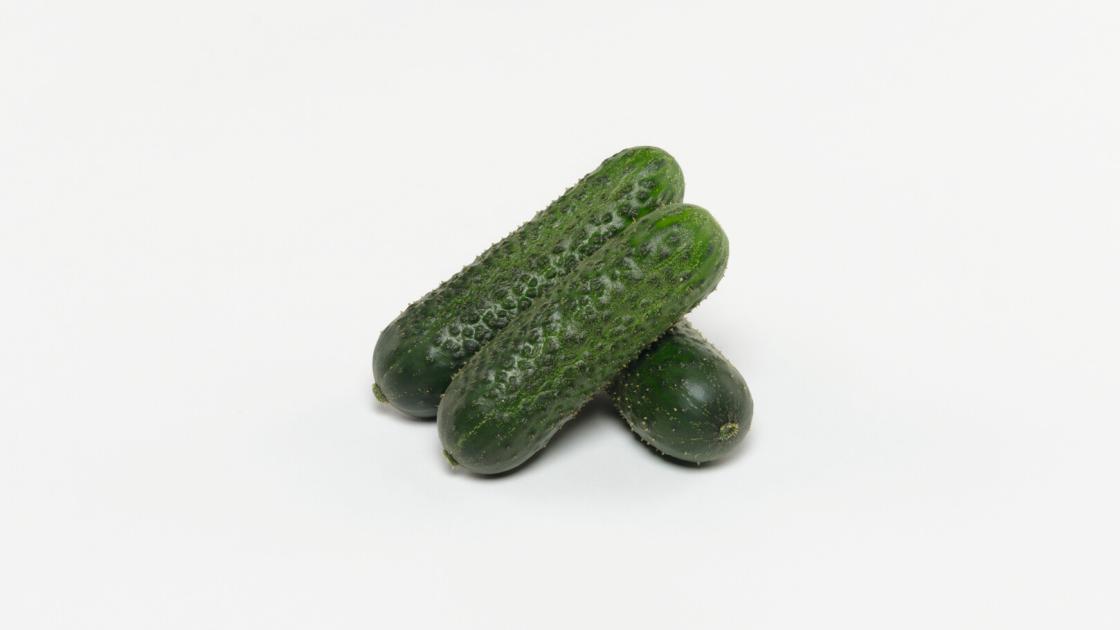 gherkin_amarok-26037-original Амарок F1 - Зображення 1