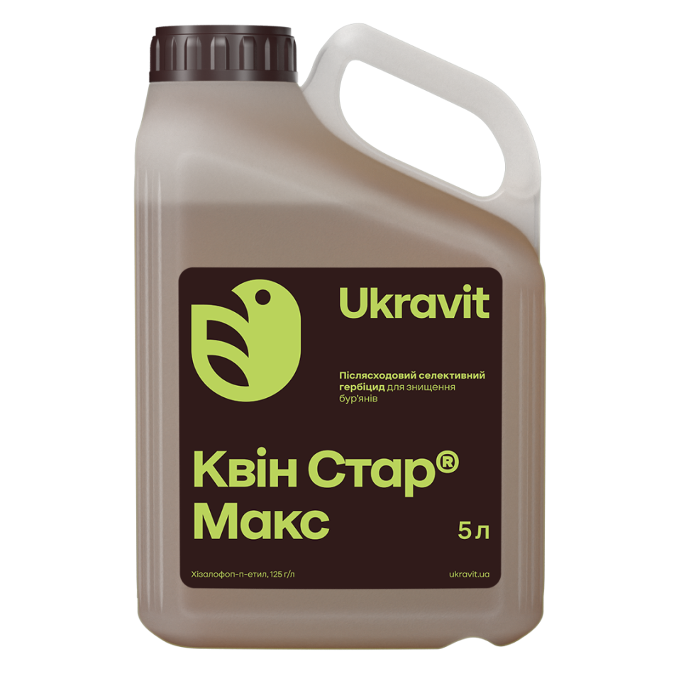 product-product-kvin-star-maks-838-960x960 Квін Стар Макс - Зображення 1