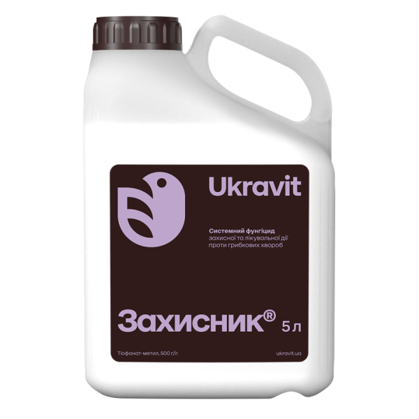 Захисник