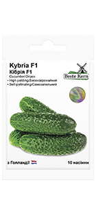 15f7938ba7b369dc9acacd5641f4fedd_1682936771 Огірок Кiбрiя F1 - Зображення 1