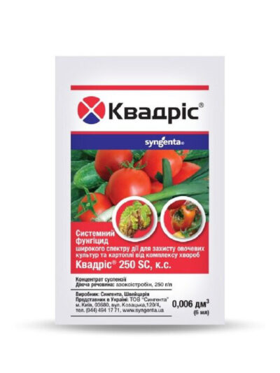 kvadris-6-01-400x533 Квадріс – фунгіцид проти основних хвороб овочевих культур, Syngenta - Зображення 1